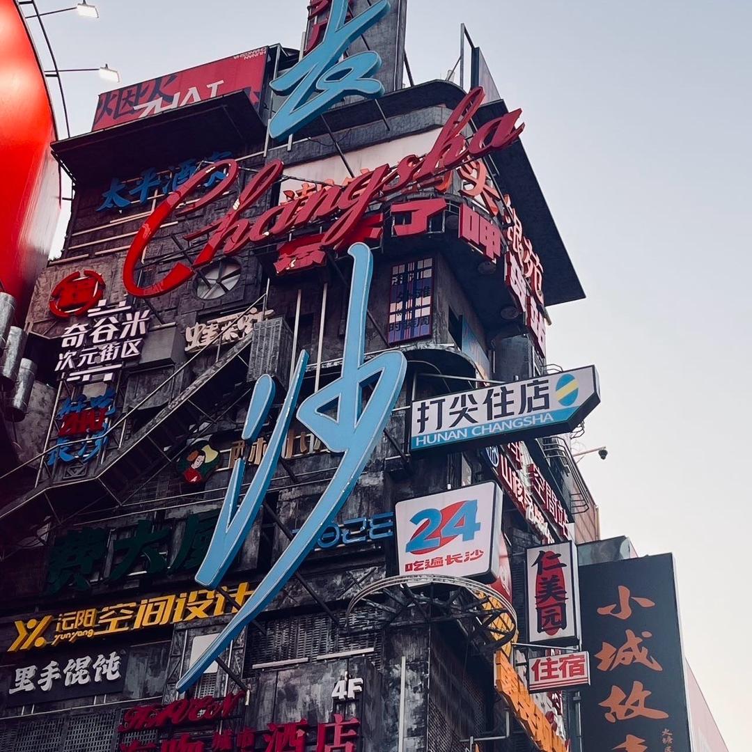 张杨看房