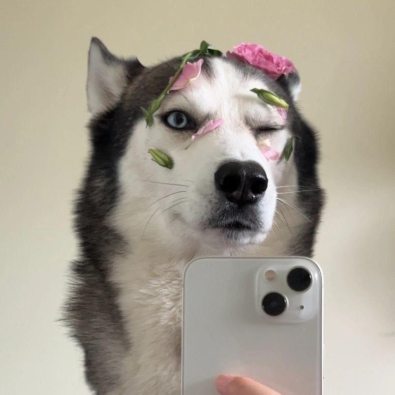 睡个好觉