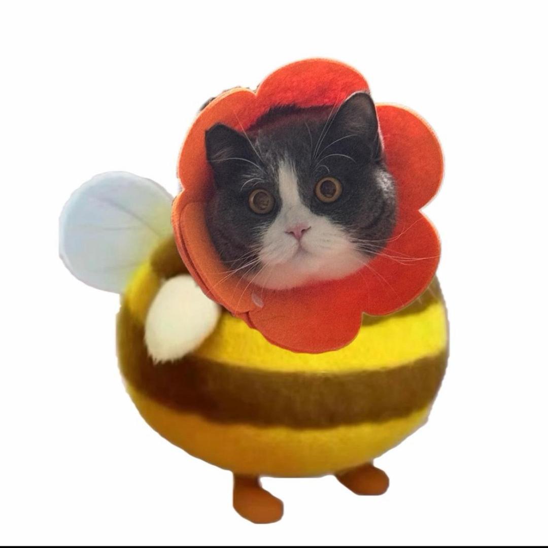 ini