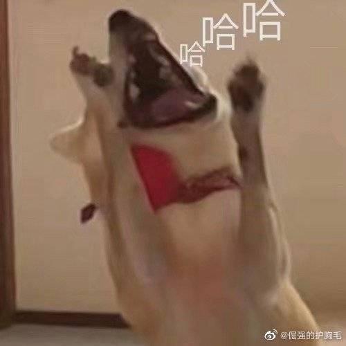 🌈安然度过