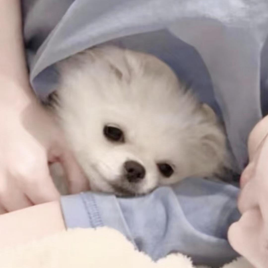 平凡