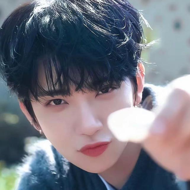 🐈🐈🐈‍⬛🐈‍⬛