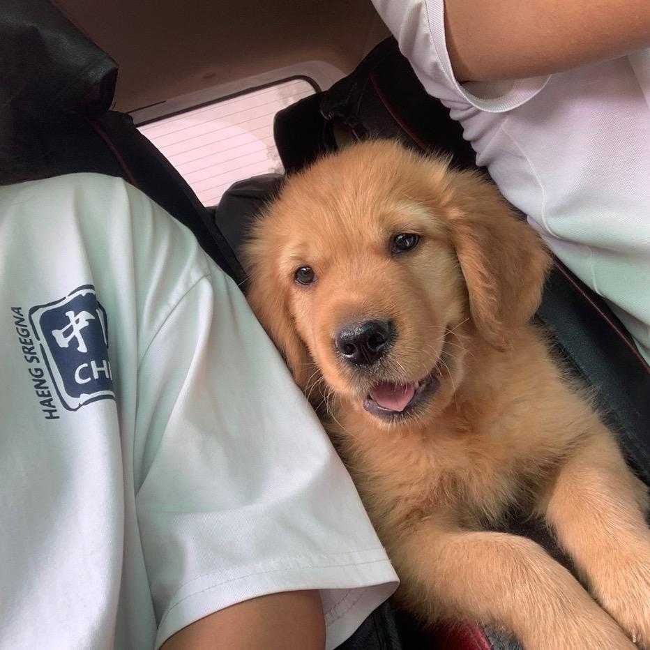 是瑞瑞吖🎉