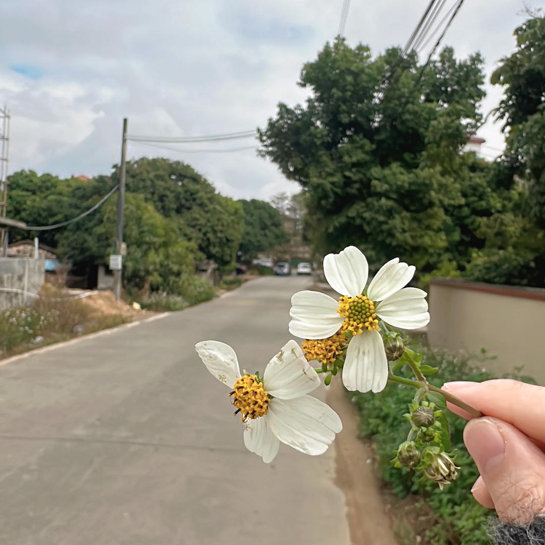 大陈手工女鞋👠