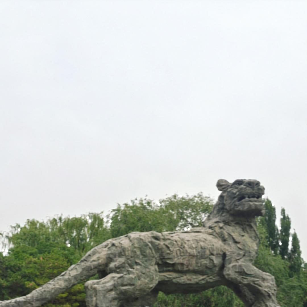 金妹(桑金措)