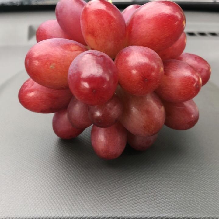 岁月的䛢废