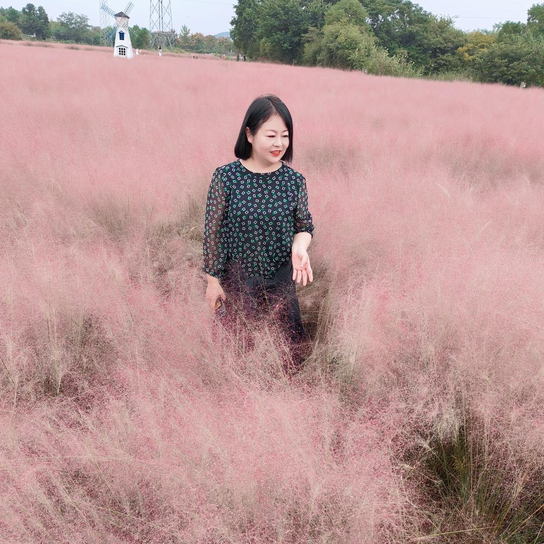 蔡菜