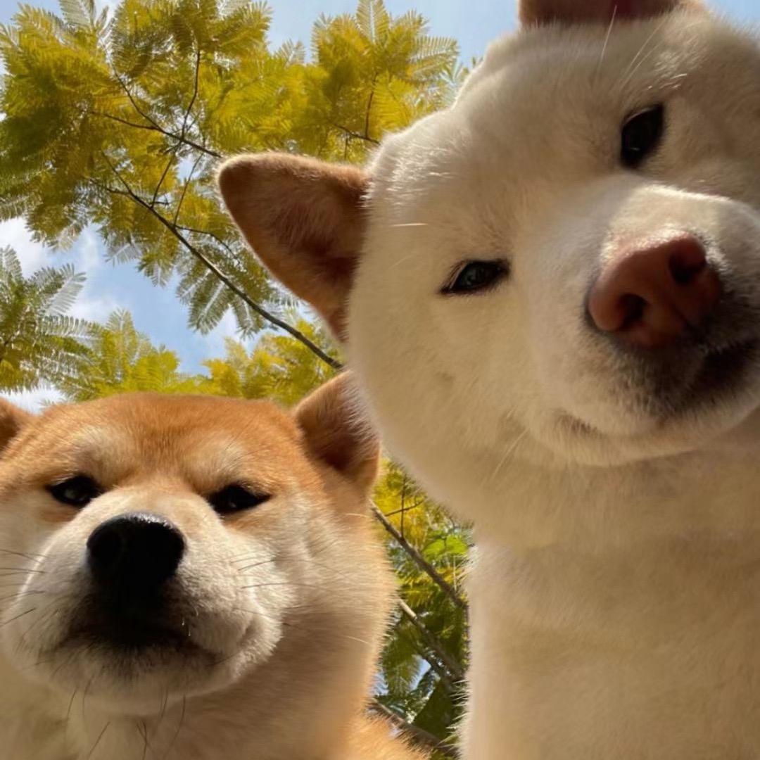 9527