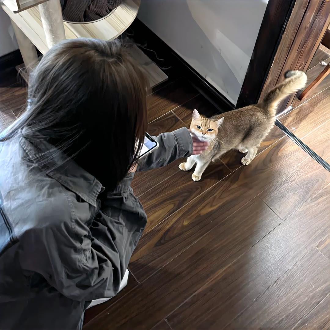 林艺