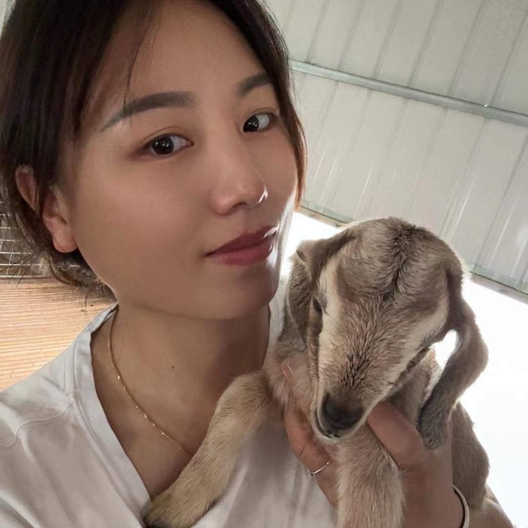 南部黑山羊肉～绵羊肉～批发～零售（梅子）