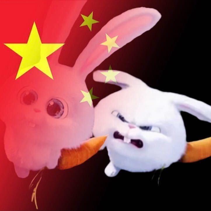 那個夏天Sao年未佬
