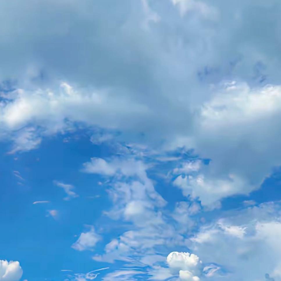 飞龙在天（李天）