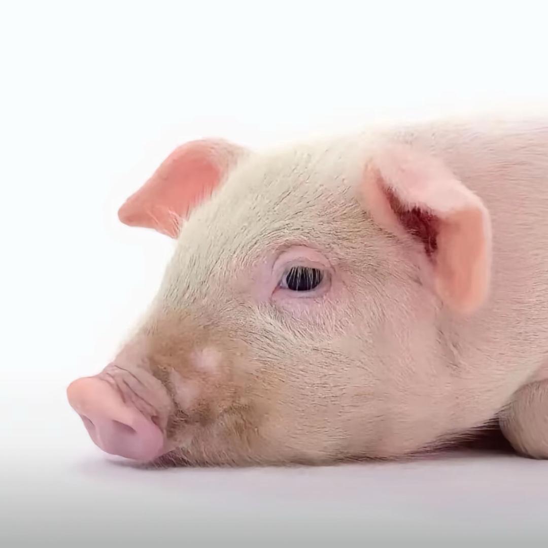 如果你认为这几年是开玩笑