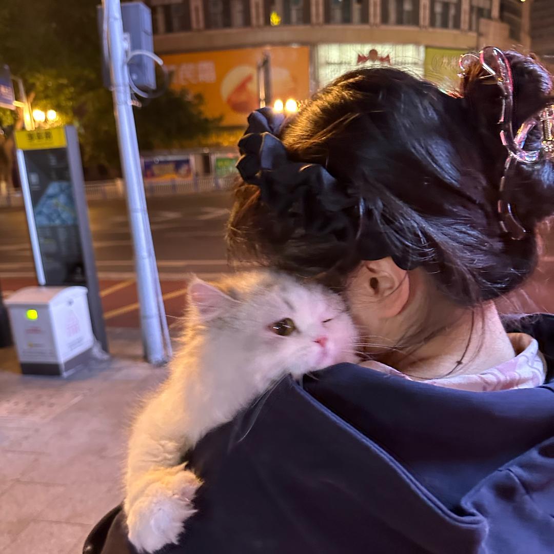 陈小洁——找店转店