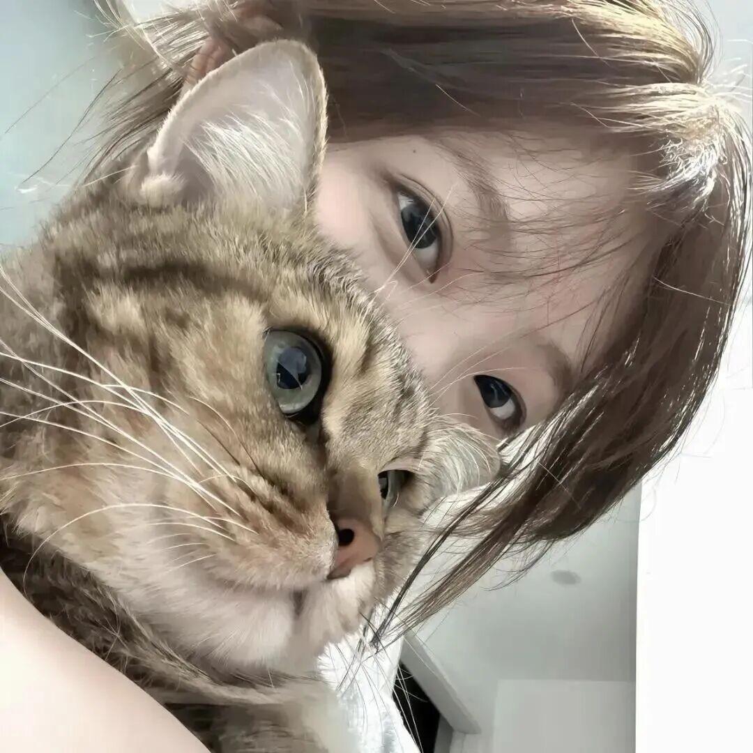 ㅤㅤㅤ @          7