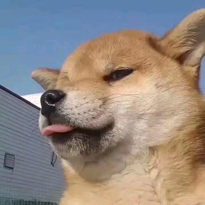 唐僧爱吃肉