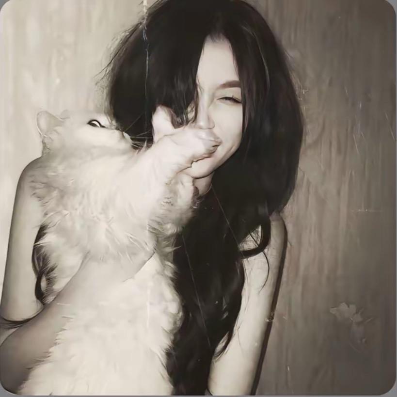 ㅤㅤㅤㅤ︋ㅤ︋