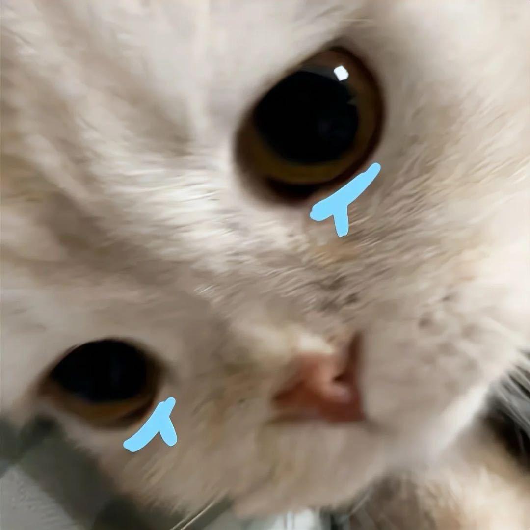 曼不讲理