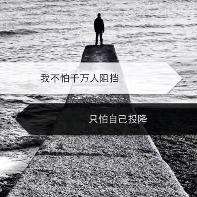 来莱特q
