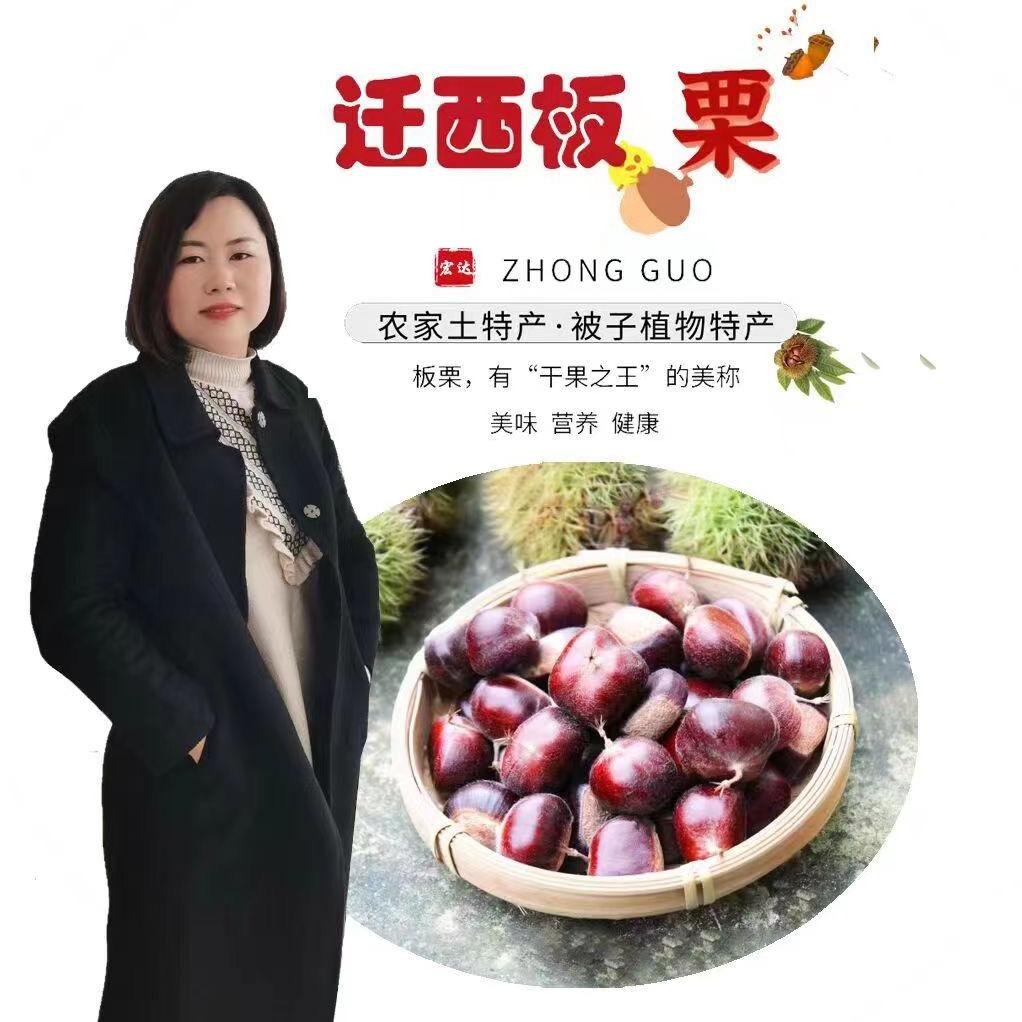迁西板栗静儿