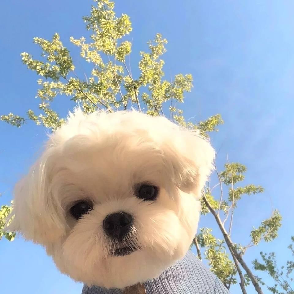 解志强