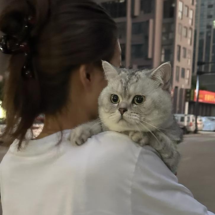 土豆与西瓜