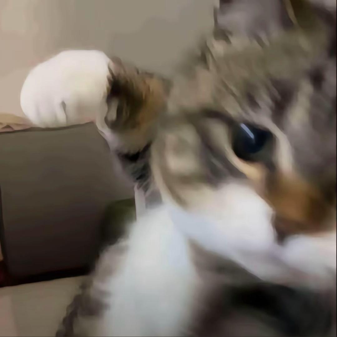小育
