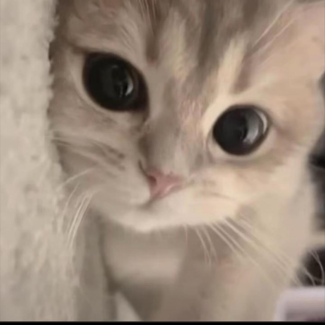 4uu