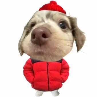 是美好的一天嘛-/