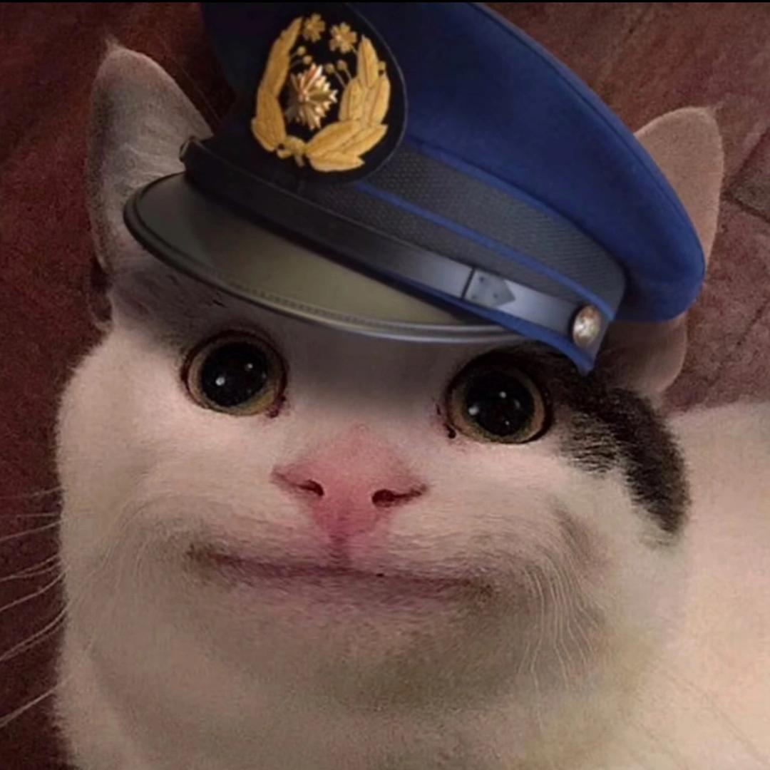 鱼丸911