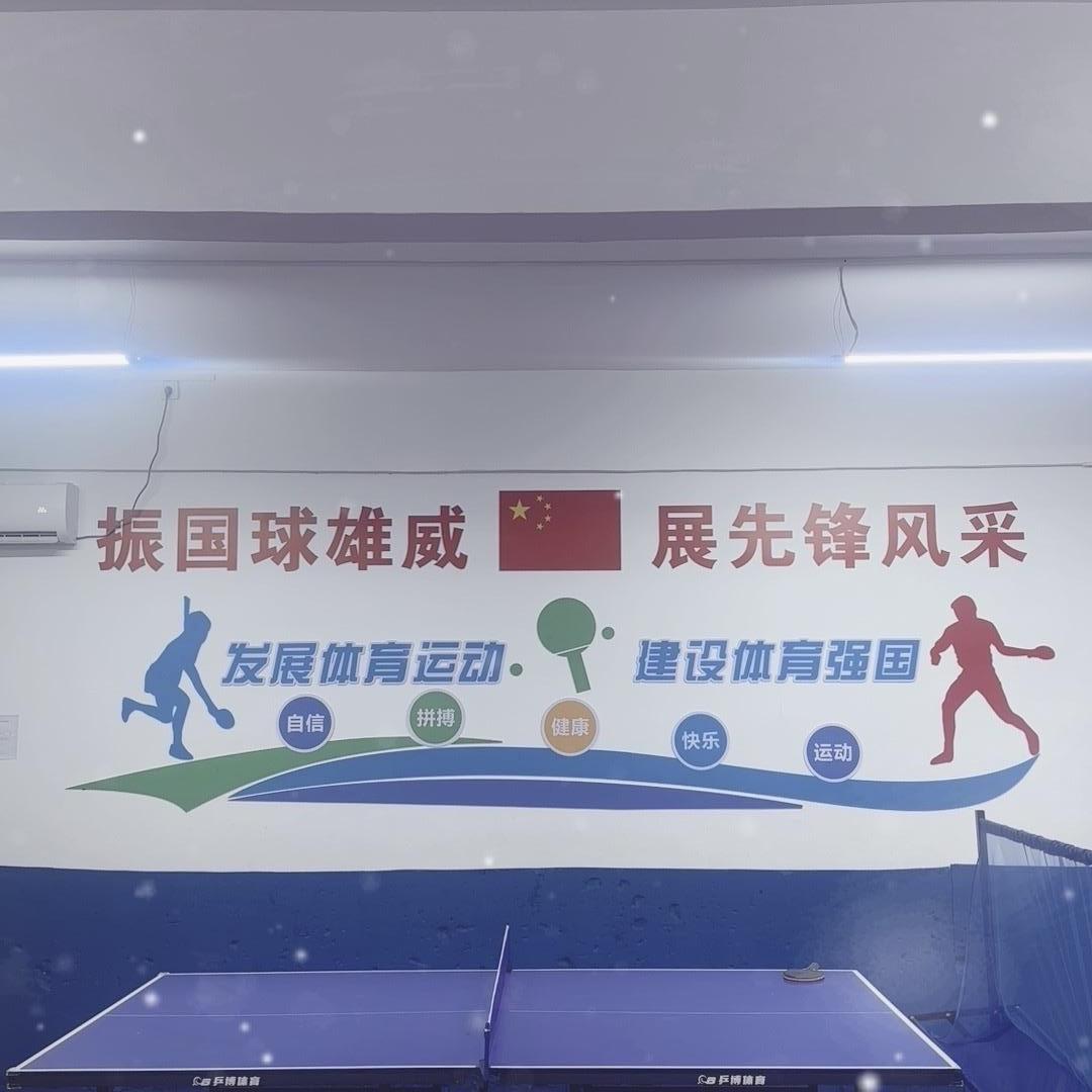 先锋乒乓球培训
