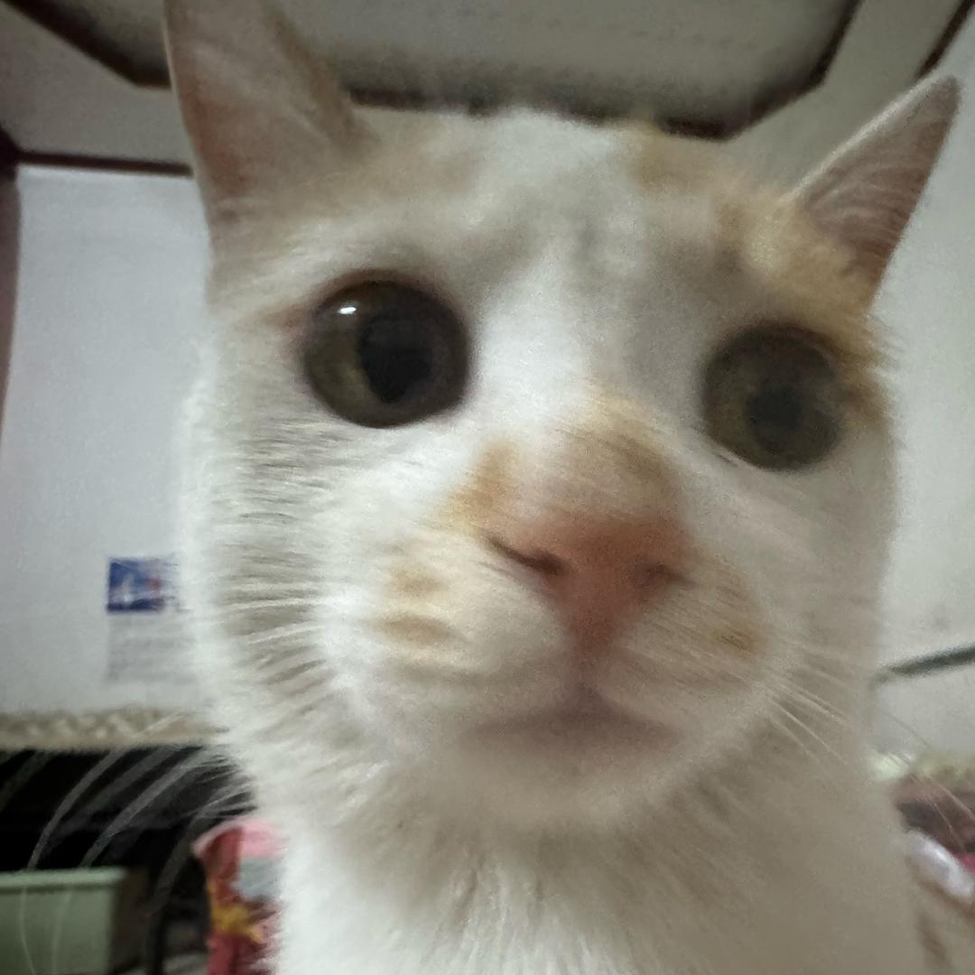 我要吃饭！！！