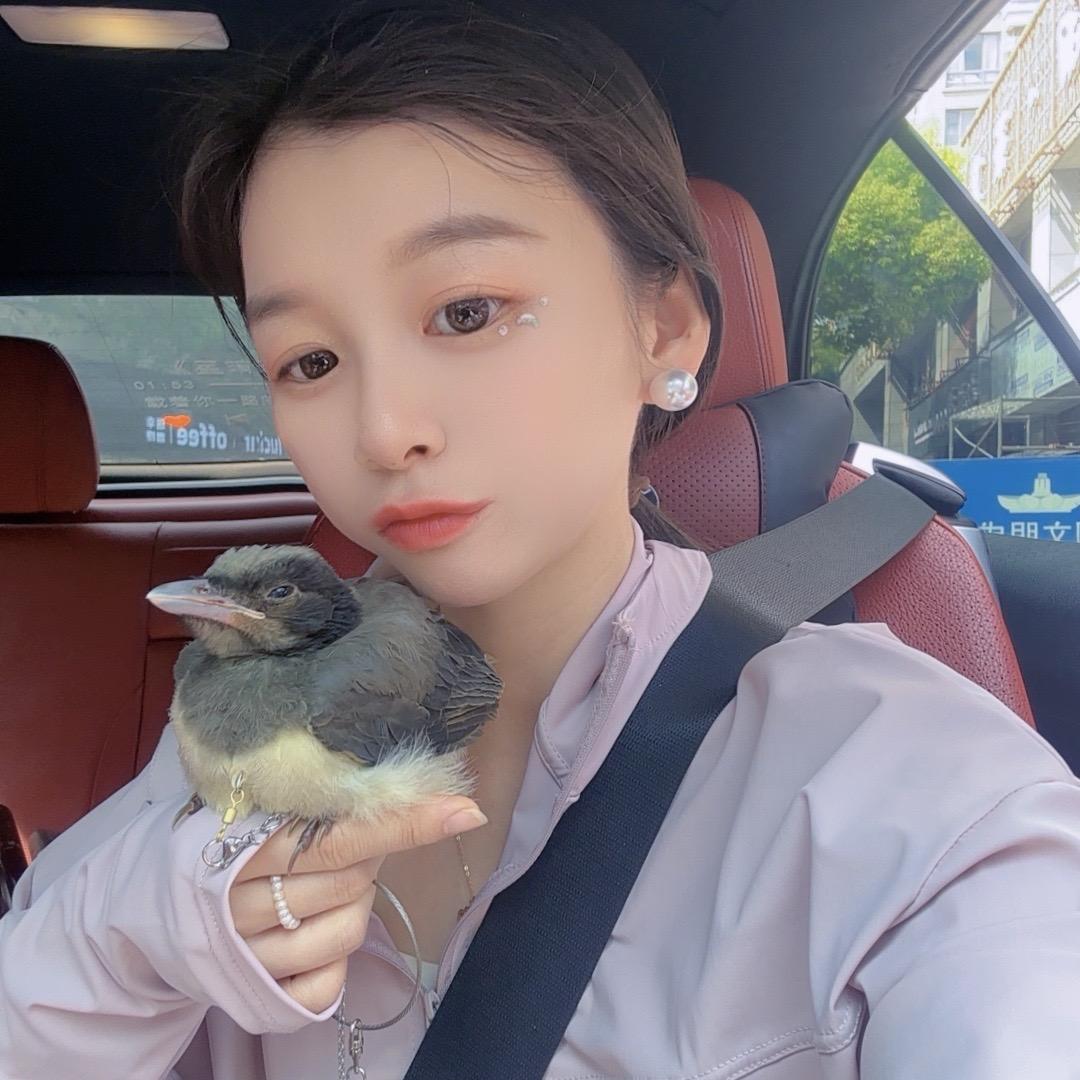 自从捡到N只鸦𓅛