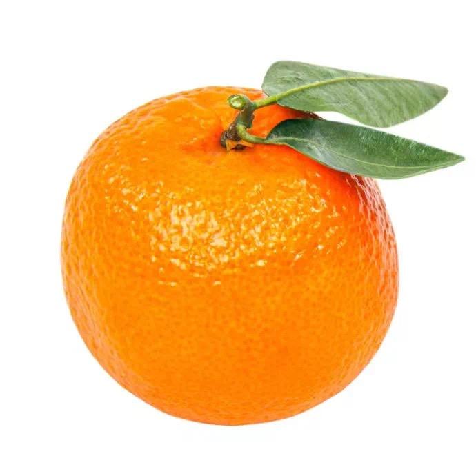 🍊大橘大利