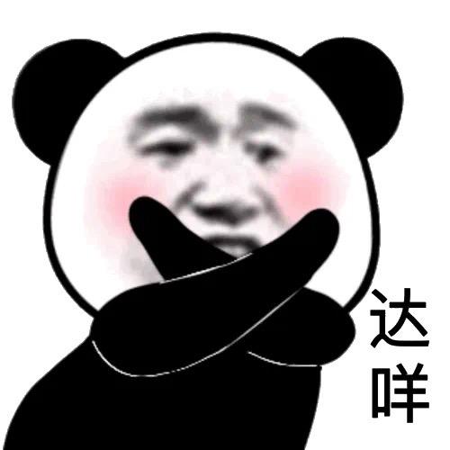 河南吊哥