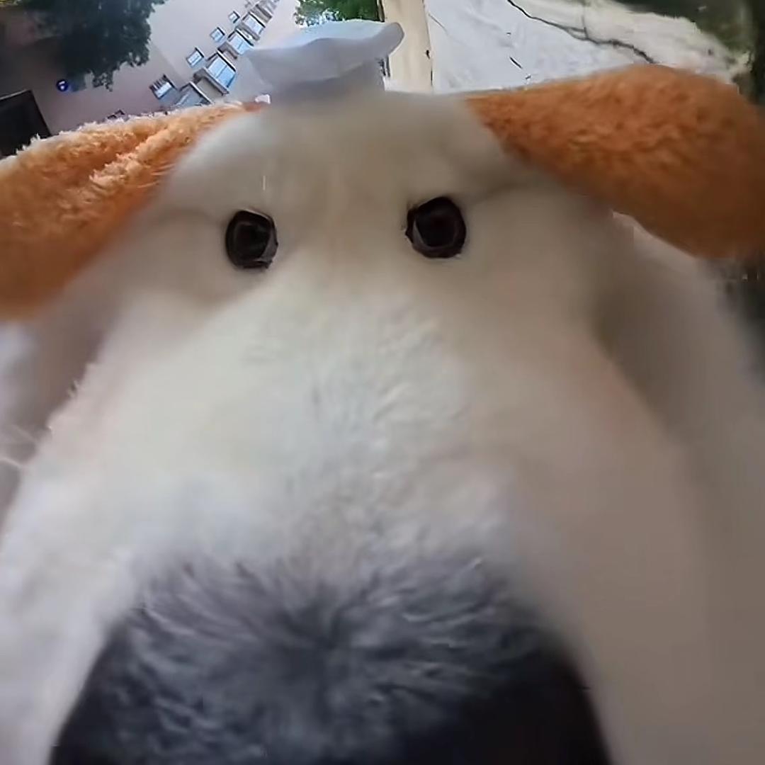 苏维钰