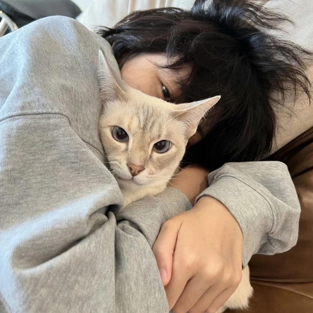 秋