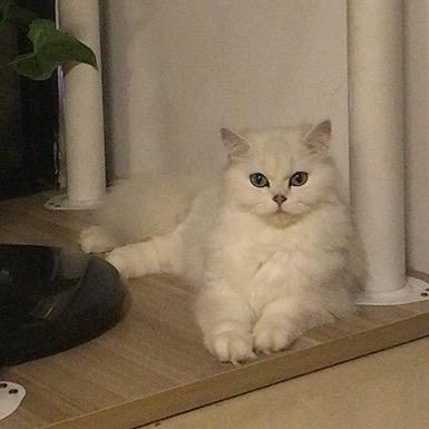 🌈心心源头工厂🍭