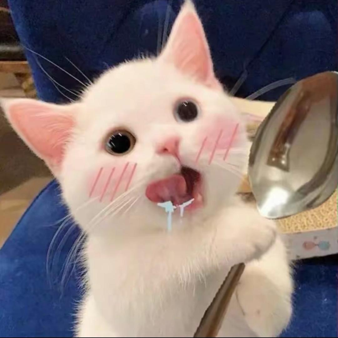 你今天真好看、