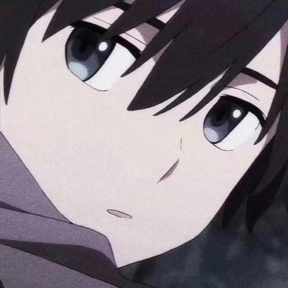 鹤璇