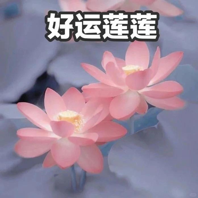 小钟的卖房日记
