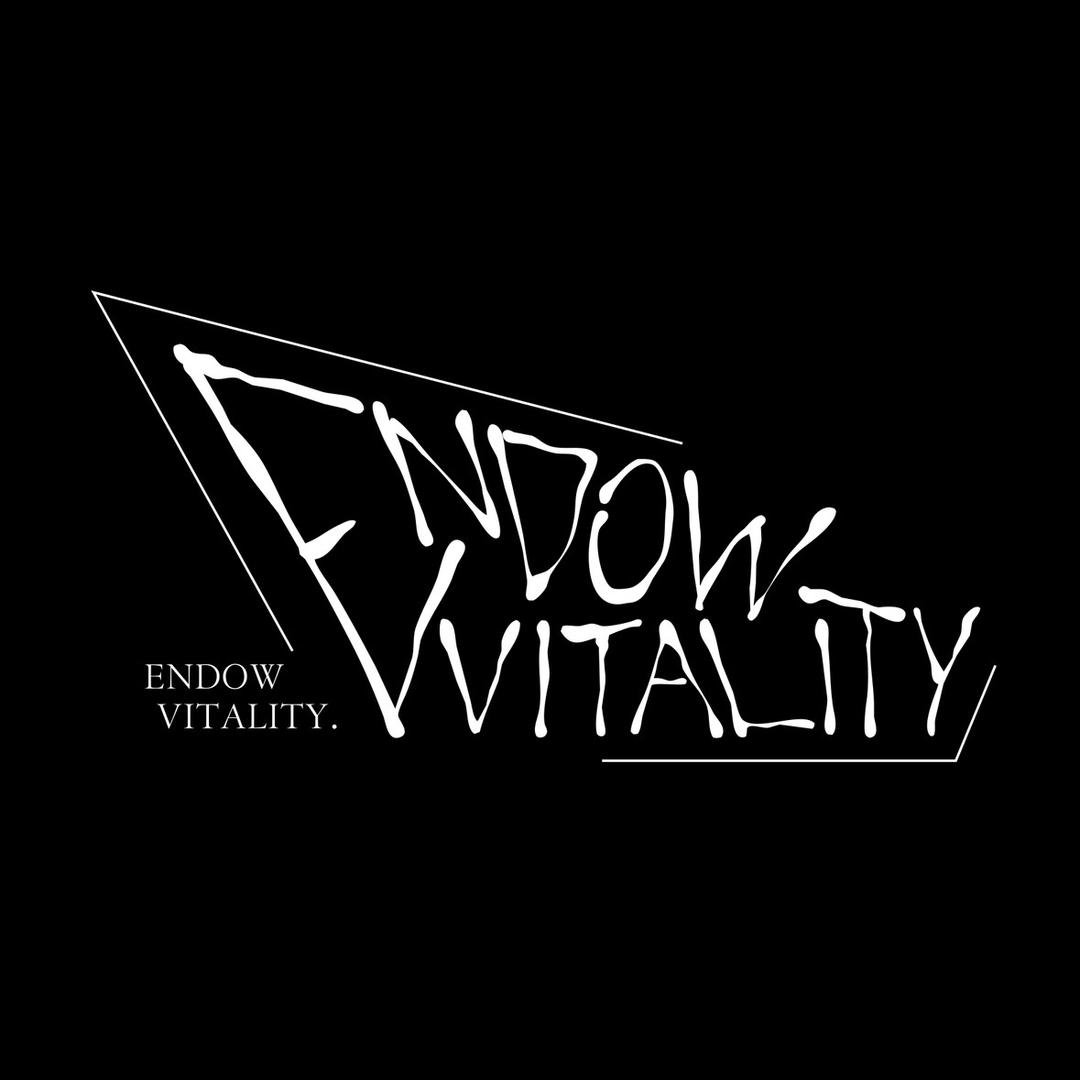 EndowVitality尾灯雕刻