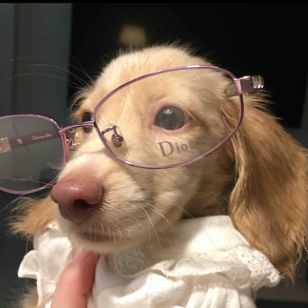 嗯᳐我呆呆的᳐੭