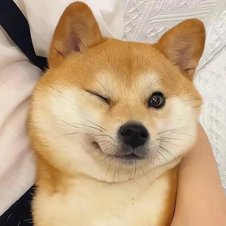 瑀晴🐶