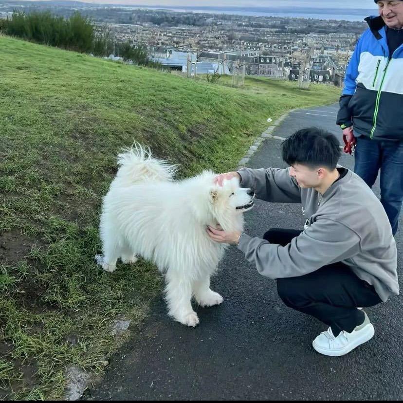 阳阳