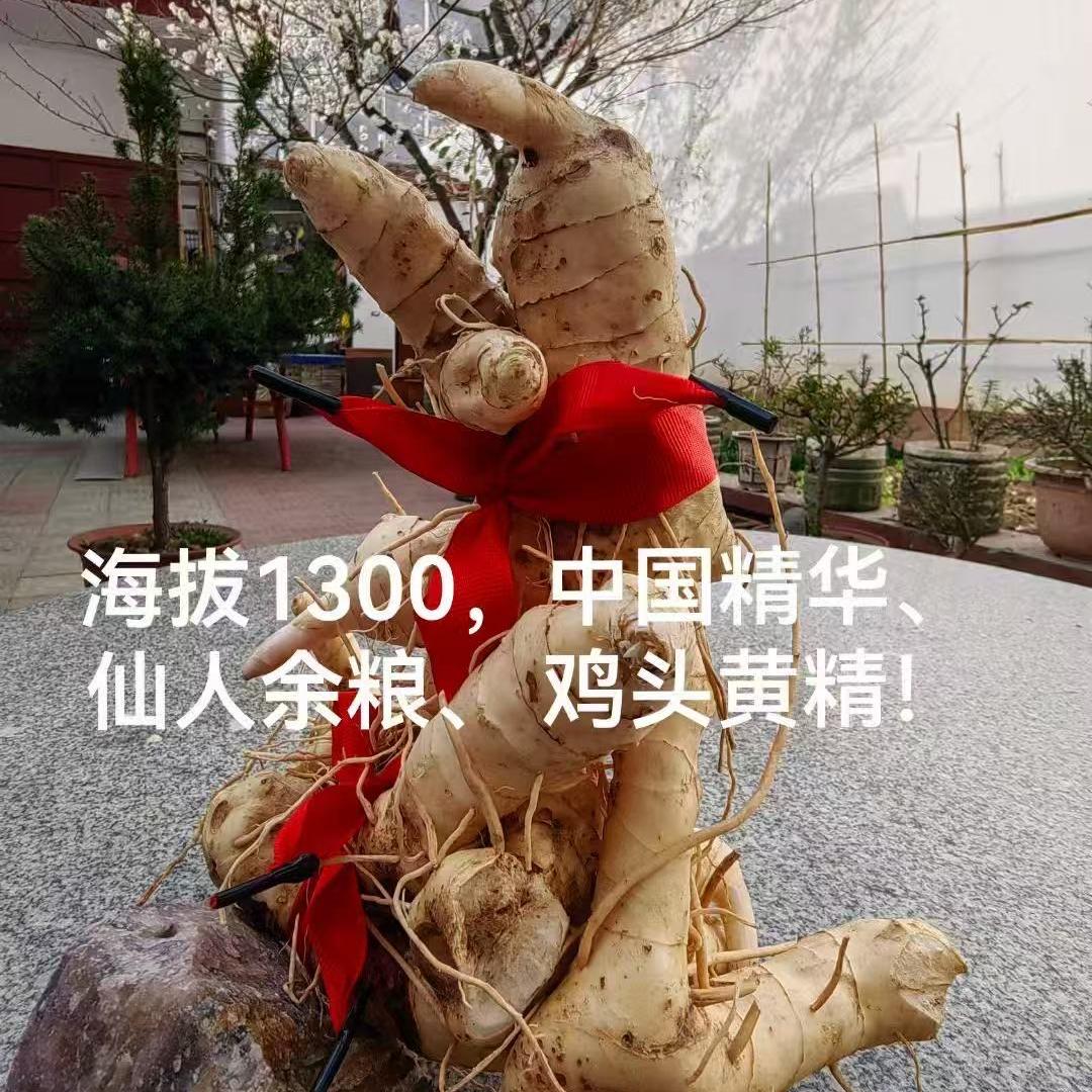 梦森臻选
