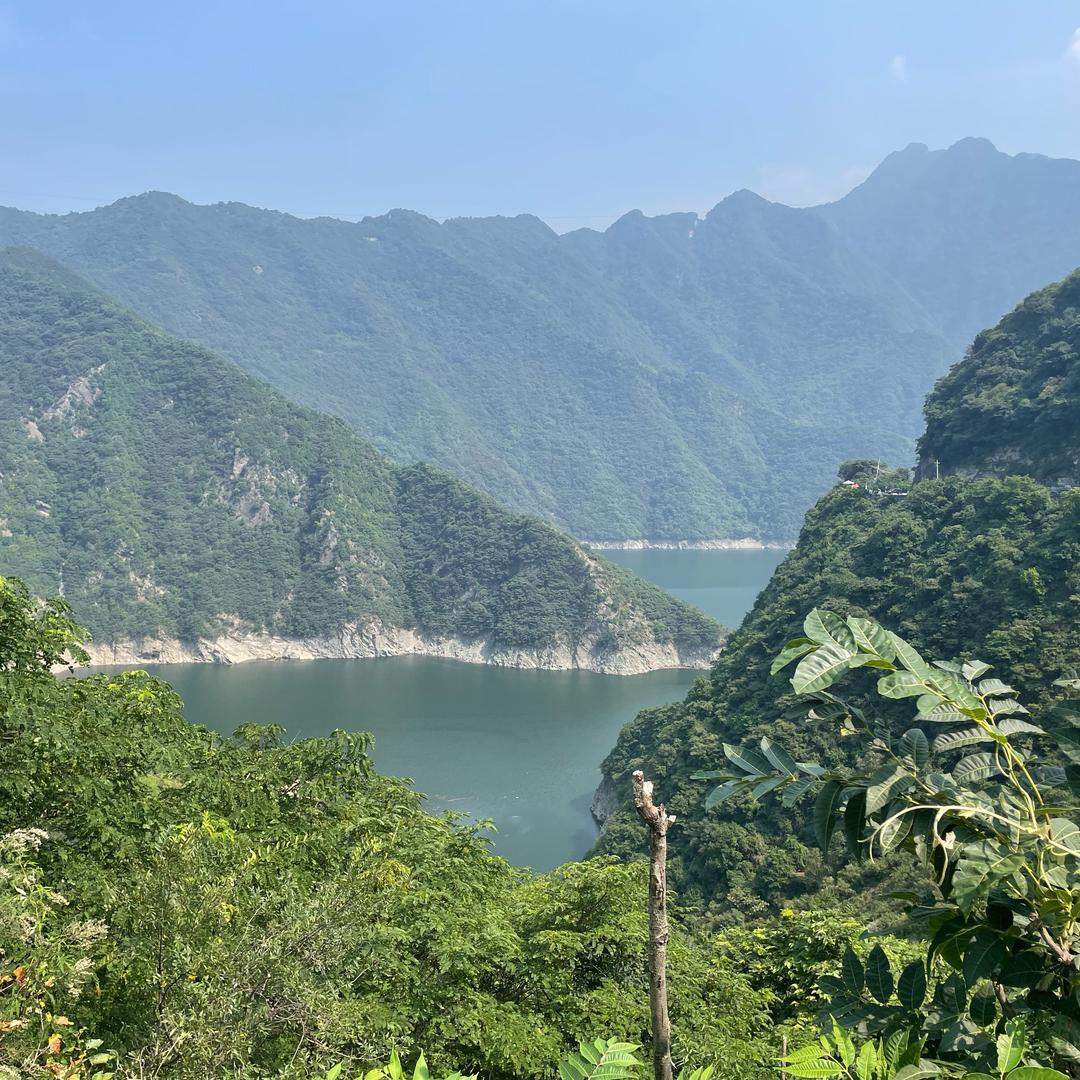 左岸👣✍