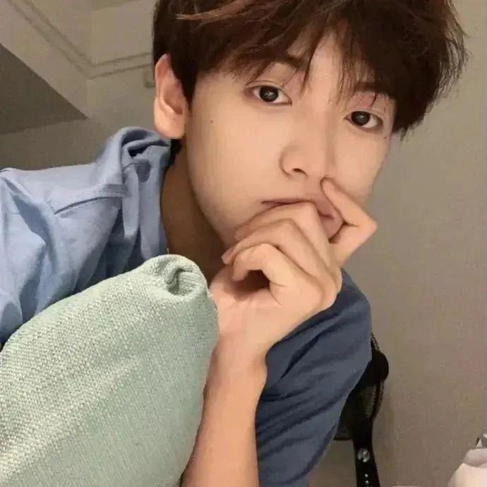 .蓝桉.