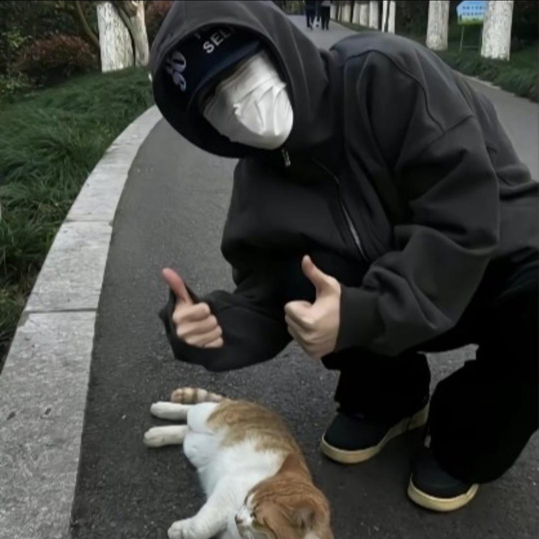 馮✈️