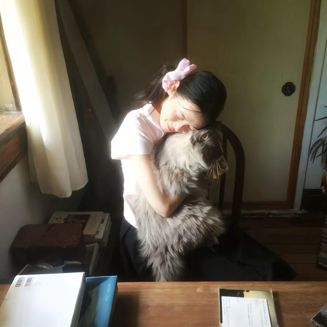 西红柿迪迦